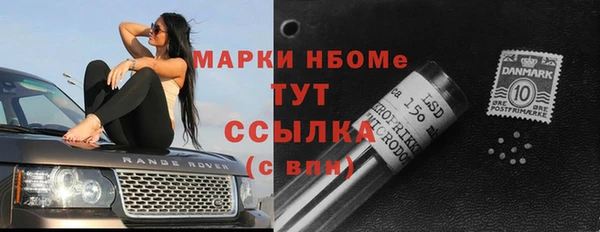 сатива Няндома