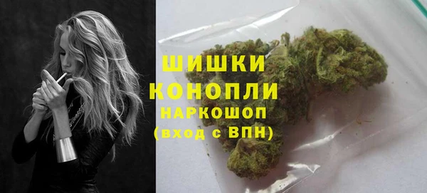 сатива Няндома