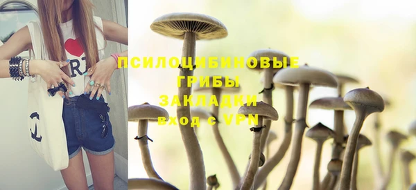 мяу мяу мука Осташков