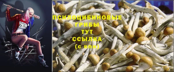 трава Осинники
